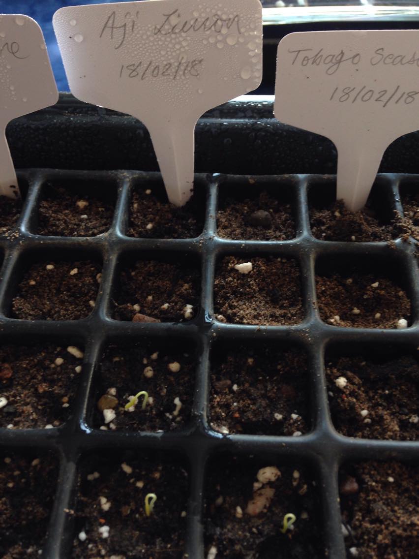 28343071_1659451447448364_999690276_o